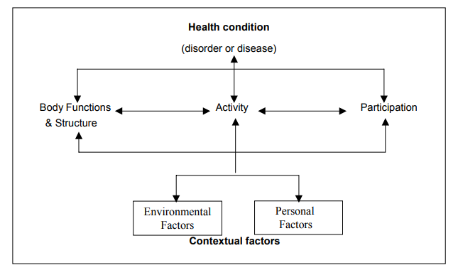 ICF model of disability: disability as the outcome of interactions between health conditions (disorders or diseases) and contextual factors, both environmental and personal. Disability includes impairments, activity limitations and participation restrictions.