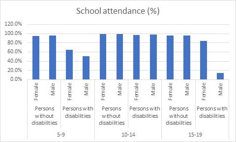 School attendance (%)