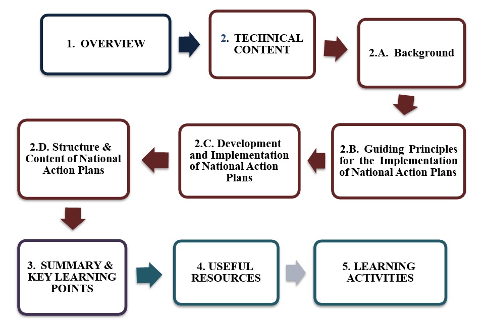 A module map with 5 steps. It starts with step 1 overview, then step 2 technical content that has 4 stages. It continues with stage 2A background, then stage 2B guiding principles for the implementation of national action plans, then stage 2C development and implementation of national action plans, then stage 2D structure and content of national action plans. The map continues with step 3 summary and key learning points, then step 4 useful resources and it ends with step 5 learning activities. 